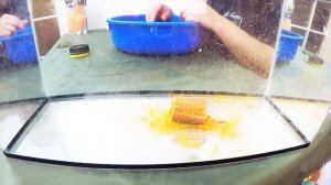 Флет метод фидер с пва конфеткой? Рыбалка.