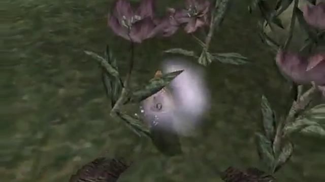 Lets Interactively Play Morrowind Part 38 The Mudcrab Merchant part 2 of 5 смотреть онлайн