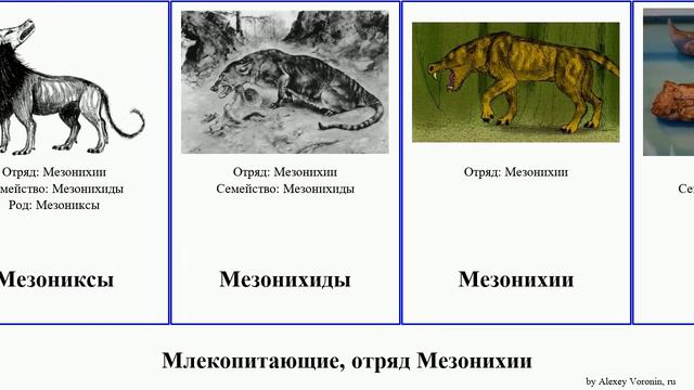 Млекопитающие, отряд Мезонихии Mammal Patrikios Glacier Гарпаголест Mesonychid Синоплотерий