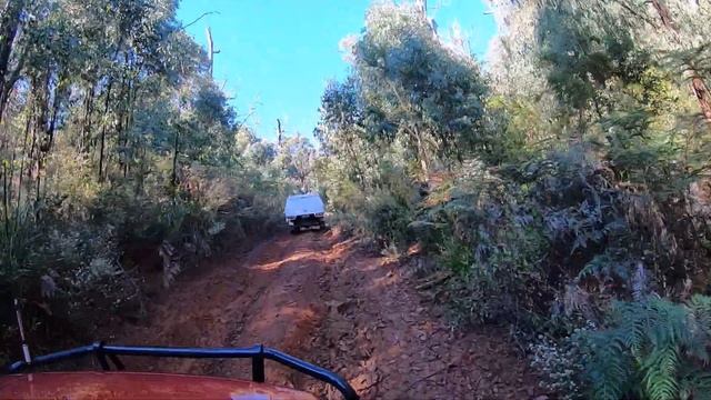 Suzuki Grand Vitara in Toolangi State Forest 16/05/20 смотреть онлайн