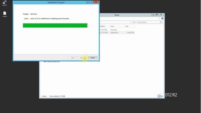 EMC NetWorker 9.x Oracle(MS Windows) Integration - Step 1 смотреть онлайн