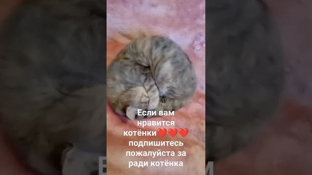если вам нравиться этот видео я сниму 2 часть смотреть онлайн