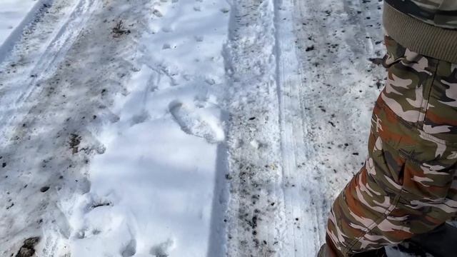 #502 Срок ещё не подошёл, но мы готовимся / Вкусный лимонный кекс за копейки смотреть онлайн