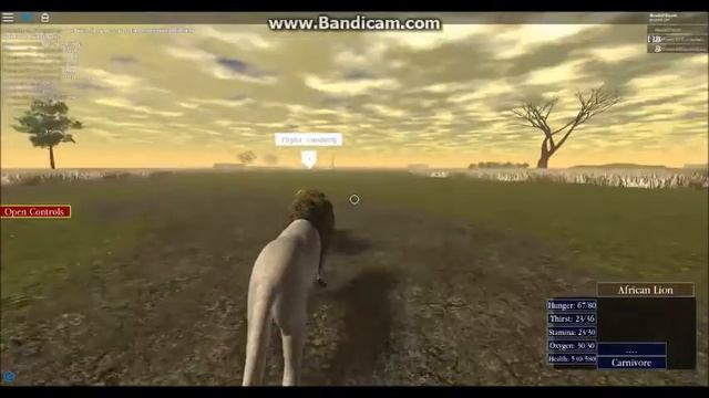 Roblox: Wild Savannah (W.I.P) EPIC NewbOfDoom vs PhoenixOfCryingStars Battle Montage #3 смотреть онлайн