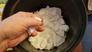 Тюльпаны в январе. Посадка тюльпанов в январе в горшки