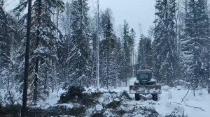 Валка. Трелевка леса.Т 40 АМ.