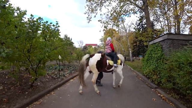Николаевский Зоопарк! Самый большой Зоопарк в Европе! Диана катается на лошади! Zoo, horses смотреть онлайн