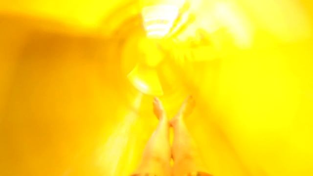 10 Самых безумных и страшных водных горок в мире смотреть онлайн