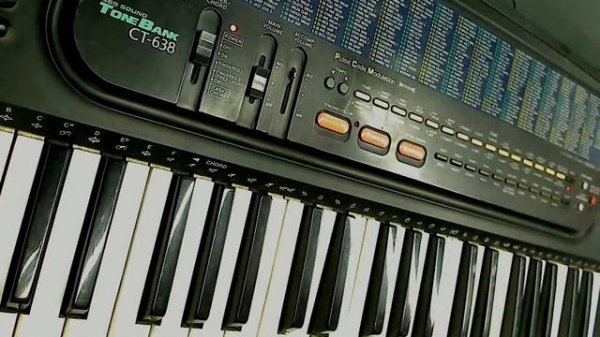 CASIO CT-638 (sound and styles demonstration)