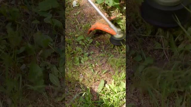 Триммер на дачу: Stihl FS 55 #shorts #инструмент #diy смотреть онлайн