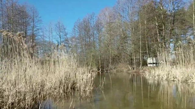 Оз. Мястро (протока Скема), Беларусь, 22.04.2020 г. смотреть онлайн