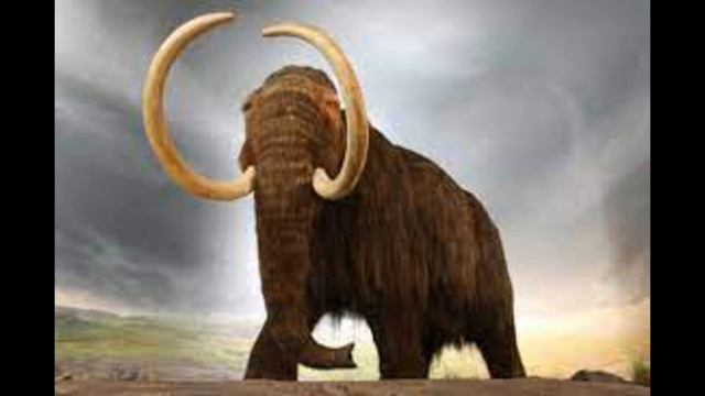 Борьба европеоидов и монголоидов в истории. смотреть онлайн