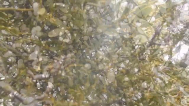 Стрижамент. Поход из Ставрополя смотреть онлайн