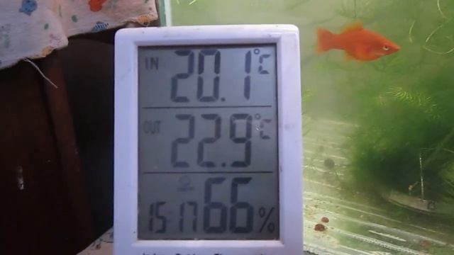 ПОДОГРЕВ И ОХЛАЖДЕНИЕ ВОДЫ В АКВАРИУМЕ смотреть онлайн