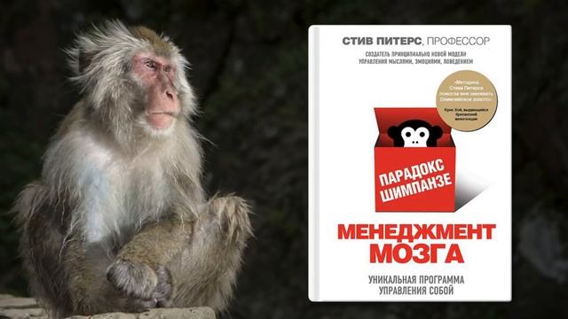 Почему одни люди успешные, а другие нет? смотреть онлайн