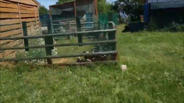 Отзыв об отдыхе, база отдыха "Лагуна Юг"! смотреть онлайн