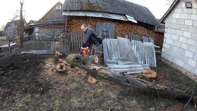 ВЕСЕННЯЯ УБОРКА В САДУ/ Март/