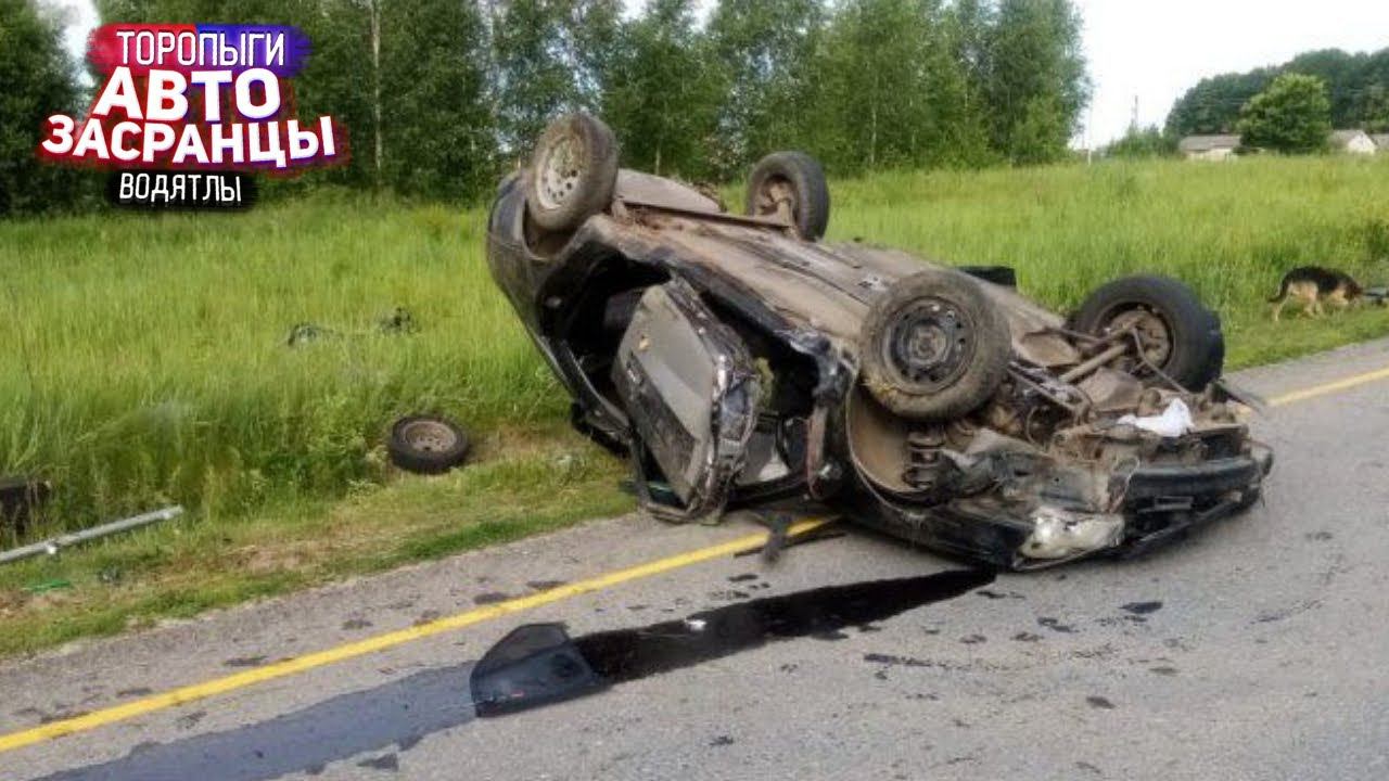 Июньские Кульбиты Торопыг и Водятлов! ДТП смотреть онлайн