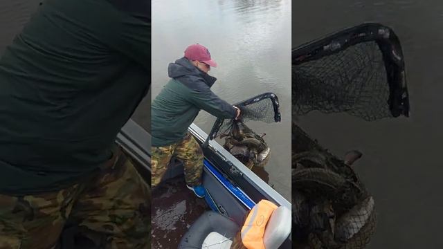 Славная была рыбалка на налима, надолго запомнится. смотреть онлайн
