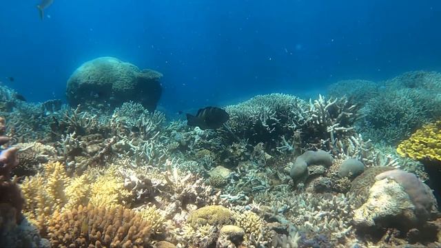 DAY 88 AT SEA SURVIVING FROM OCEAN (Map & Recap After 3 Months) Ep: 29 смотреть онлайн