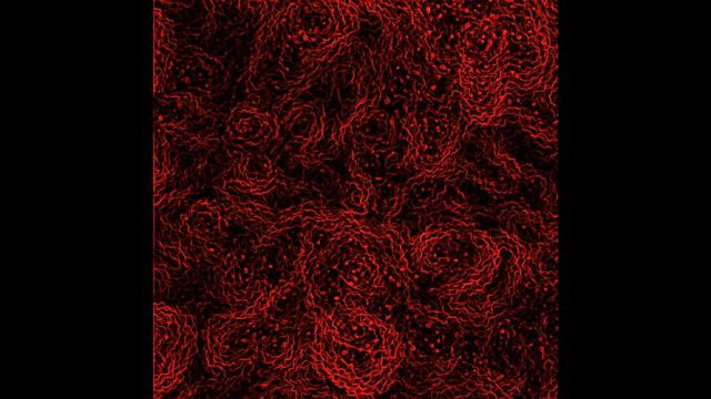 RHR - Camino смотреть онлайн