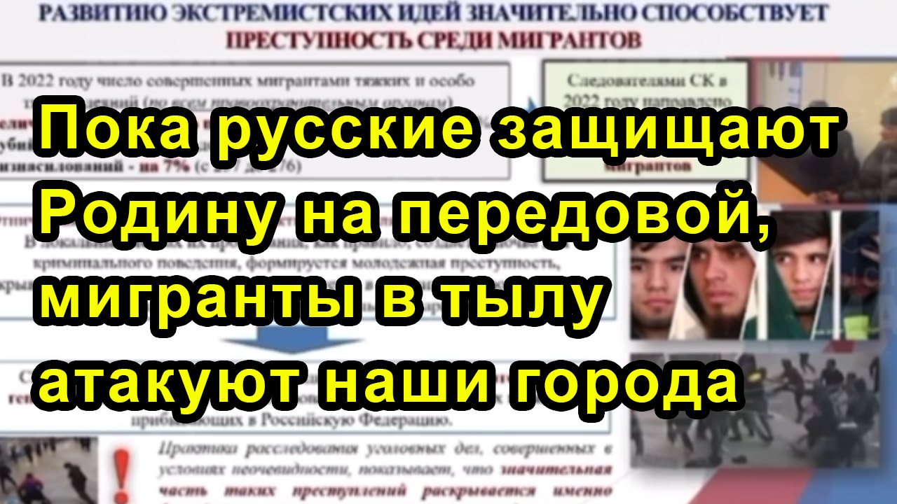 Пока русские защищают Родину на передовой, мигранты в тылу атакуют наши города смотреть онлайн