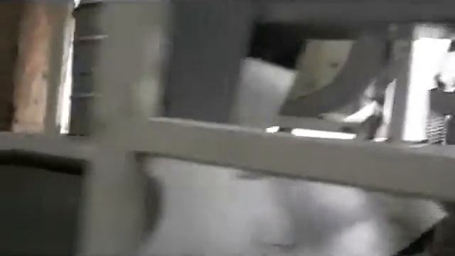 Очитска семян подсолнуха смотреть онлайн