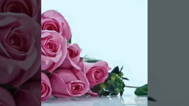 22 мая 2016 г. смотреть онлайн