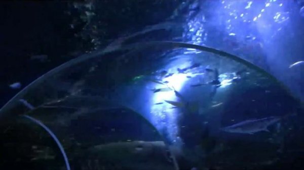 Sealife Helsinki - Long Tour