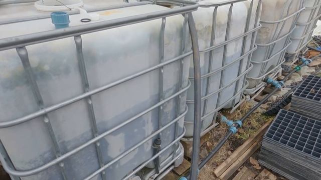 25/21Поливаем клубнику, укрываем от холодов. 3 -4 марта 2021 г. смотреть онлайн