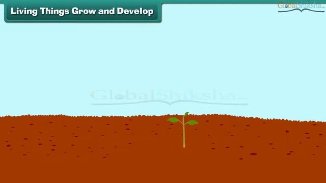 Class 5 Science - Characteristics of Living Things | CBSE смотреть онлайн