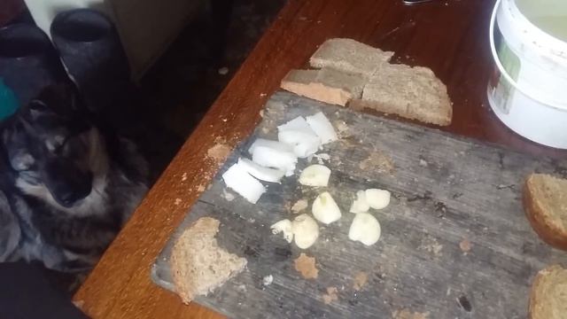 Нашел в доме кусочек сала.Издержки проживания отшельником в зимний период. смотреть онлайн