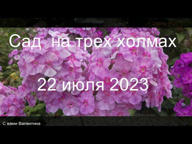 SOS! 44 градуса по Цельсию! Как пытаемся выжить... смотреть онлайн