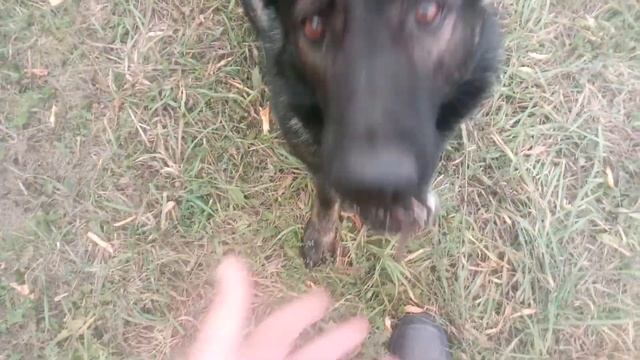 Найти потерянные ключи от дома. смотреть онлайн
