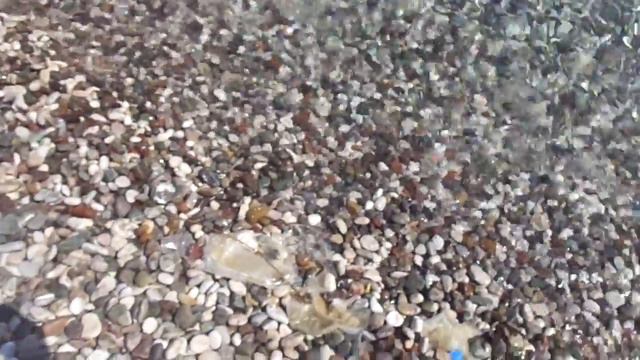 В Кемере 28 июля спустили в море мусор в районе порта смотреть онлайн