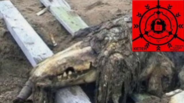 SCP 682 Неуязвимая РЕПТИЛИЯ рассказ