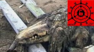 SCP 682 Неуязвимая РЕПТИЛИЯ рассказ