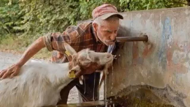 Es lo más hermoso que puedo compartir véanlo y reflexionenlo смотреть онлайн