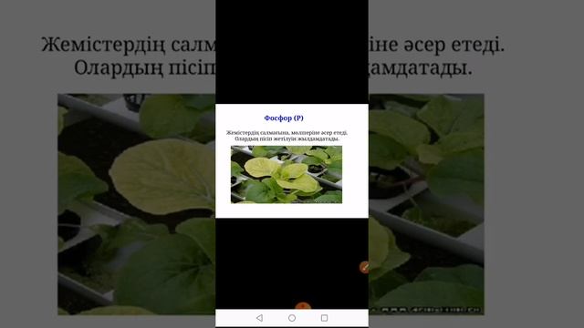 Биология. Сабақ№15 Азық – түліктердегі органикалық заттар: нәруыздар, майлар, көмірсулар смотреть онлайн