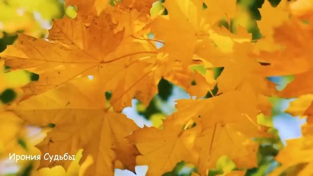 Устроив сыну свадьбу с "хорошей" женщиной, своими руками разрушила свою и его жизнь... смотреть онлайн