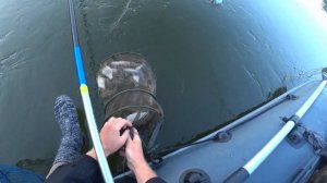 рыбалка на Оке в проводку с лодки на пшеницу,хороший ночной улов