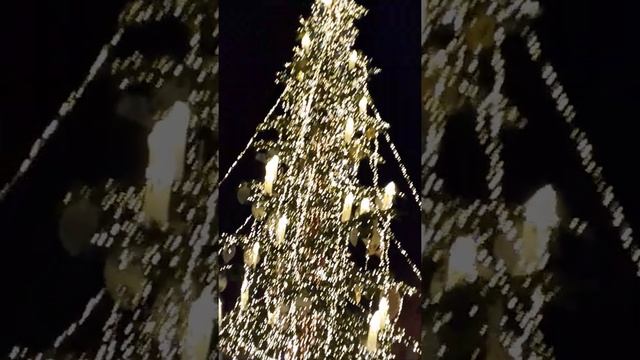 Праздник в Тбилиси на ул.Руставели Новый год 07.01.2020 смотреть онлайн