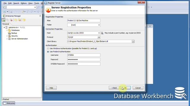 Using a Firebird server and database смотреть онлайн