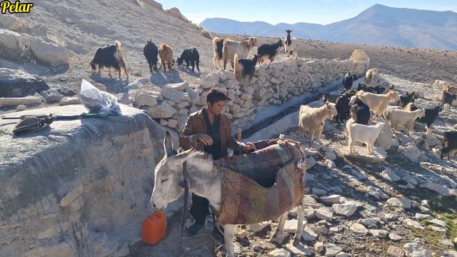 Ali Akbar's Departure To  Cheshme