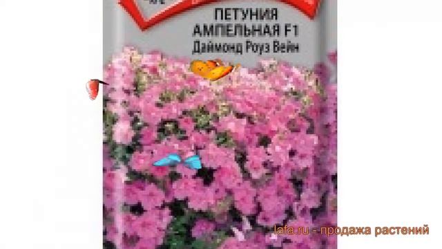 Петуния ампельная Даймонд Роуз Вейн ? обзор: как сажать, семена петунии Даймонд Роуз Вейн смотреть онлайн