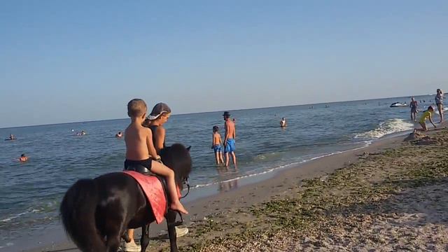 Азовское море Кирилловка 2017 г. смотреть онлайн