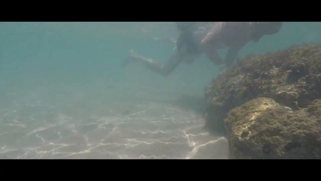 Hotel Titanic Royal Hurghada, plaża z rafą koralową смотреть онлайн