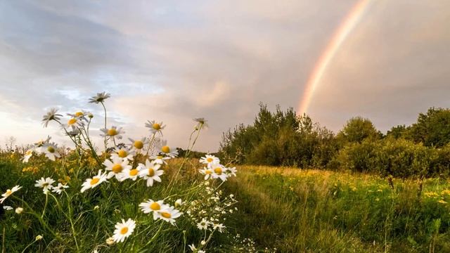 Ольга Живойкина "Лето" (автор и исполнитель) смотреть онлайн