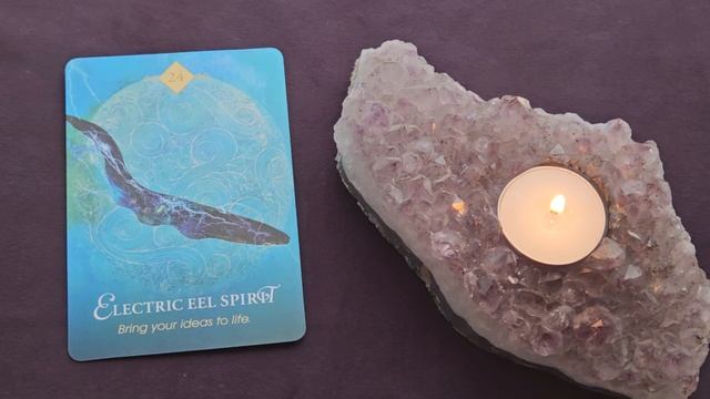 Daily Oracle Reading ~ May 11, 2023 ~ Mystic Door Tarot ~ MESSAGE OF THE DAY! смотреть онлайн