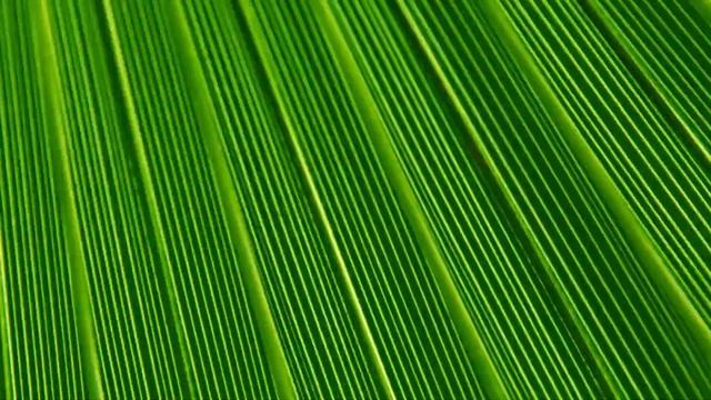 free texture animation background 2 смотреть онлайн